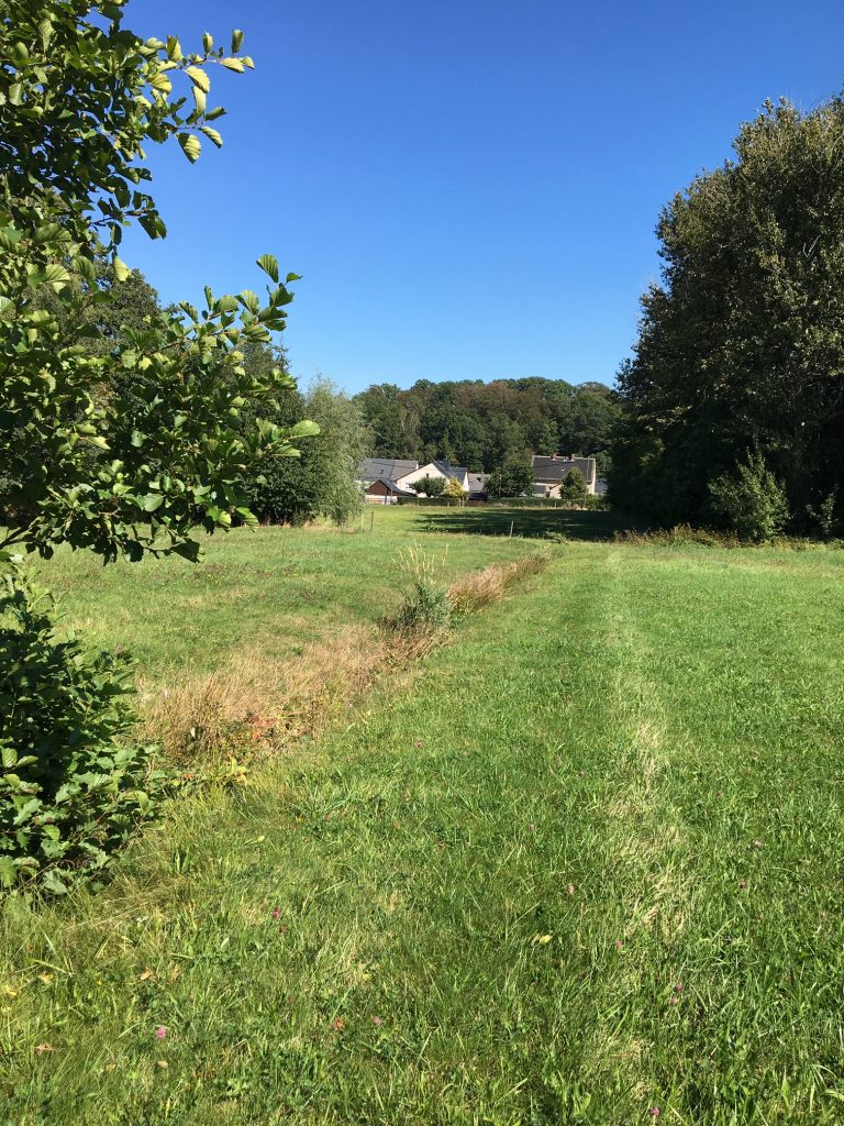 GRÜNE sieht geplantes Wohngebiet “Am Hahnbusch” in Gablenz kritisch – auch Landratsamt mit Bedenken