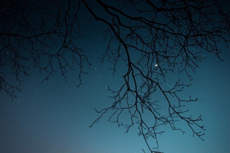 Energieknappheit und Lichtverschmutzung sollte zum Umdenken bei nächtlicher Beleuchtung führen – GRÜNE plädiert für Sternenpark im Erzgebirge