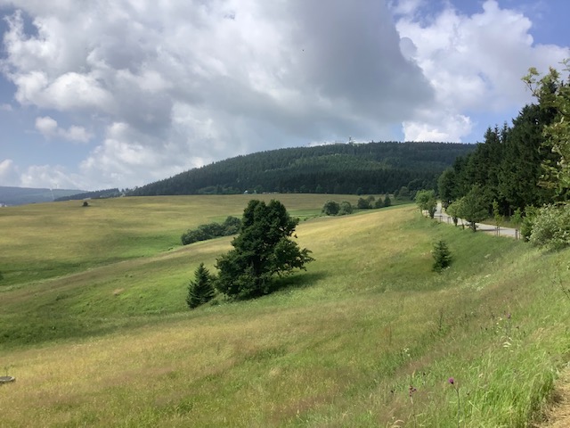 Bauvorhaben im Schindelbachtal in Oberwiesenthal konterkariert Biodiversitätsziele – Stattdessen Naturschutzgebietsausweisung vonnöten